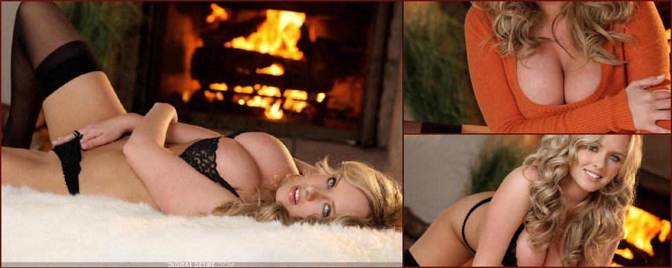 Brittanys Bod beside the fireplace - 32