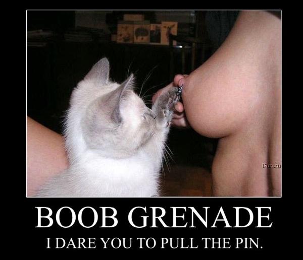 Daily erotic picdump - 16