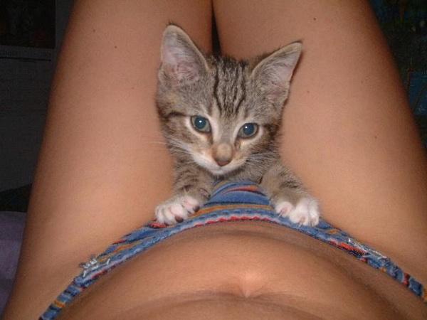 Daily erotic picdump - 46