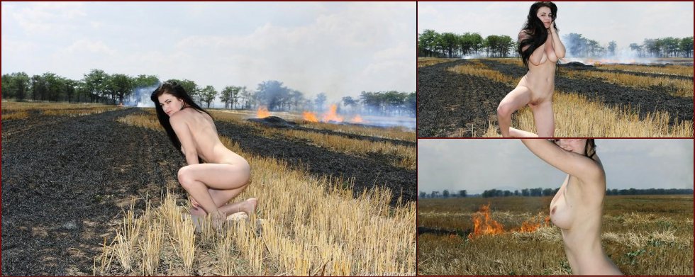 Beauty on burning field - Cassandra D - 50