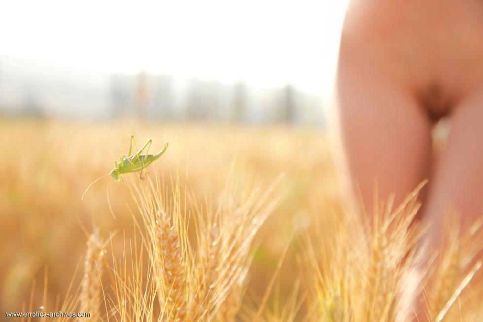 Pretty blonde girl on the meadow - Frida - 4