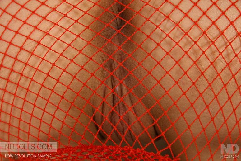 Young girl in sexy fishnet blouse - 17